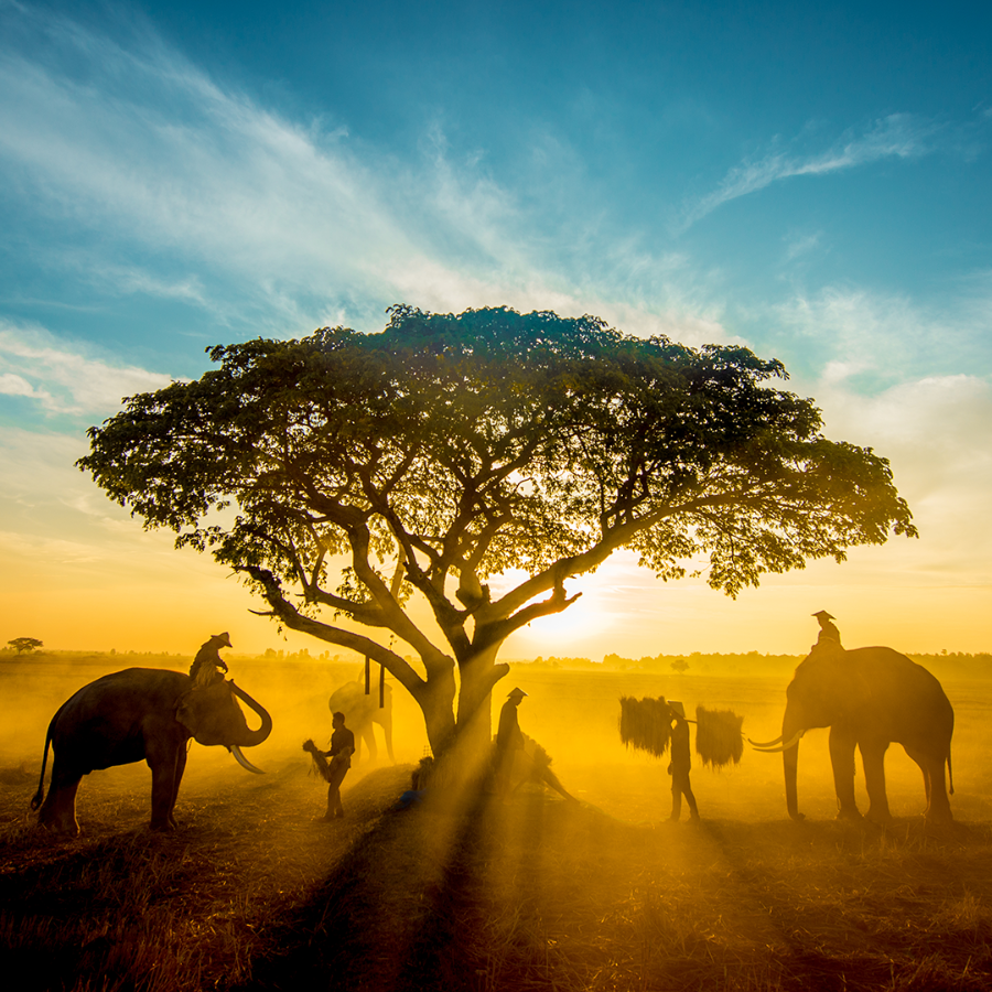 Capa Africa - Quadrada